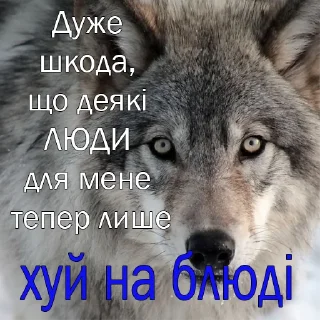 🐺