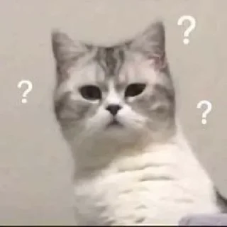 ❔