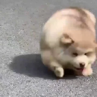 🤍