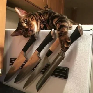 🔪