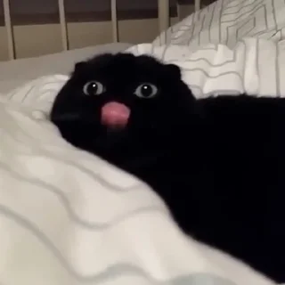 😛
