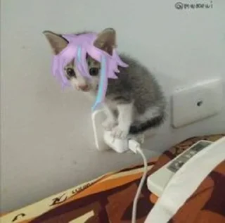 Руи :: @fStikBot