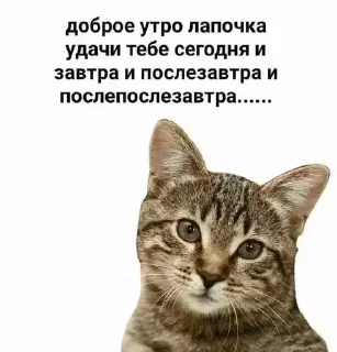 ☺️