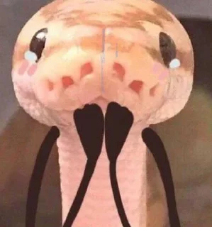 🐍