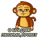 Бибизяна @tikitons