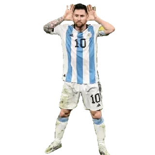 🇦🇷