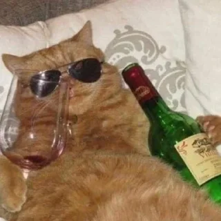 😎