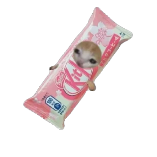 🫥