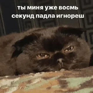 🙄