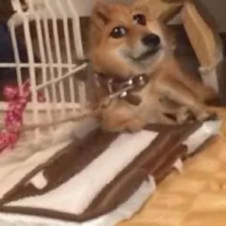 😒