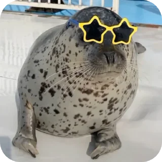 👍