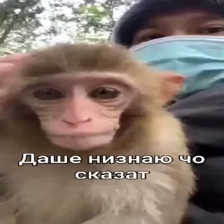 🤷