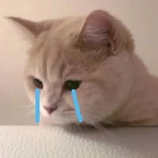 😭