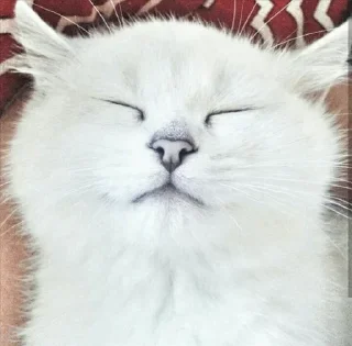 💙