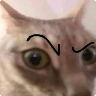 🤨