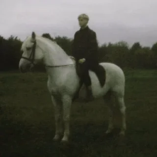 🎠