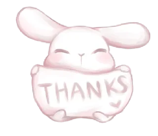🐰