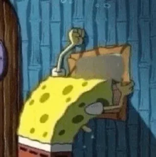 🧽