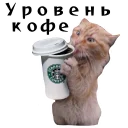 ☕️