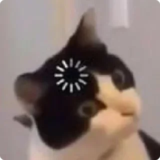 🤨