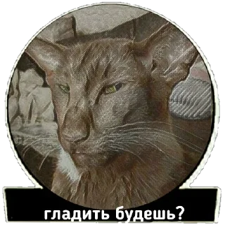 😏