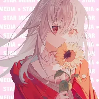 Clara | @Honkaistarmedia