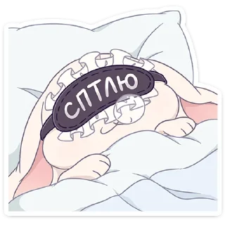 😴