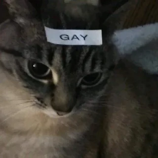 🌈