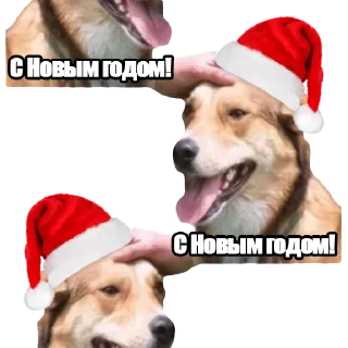 🎄