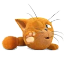 😼