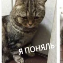 😔