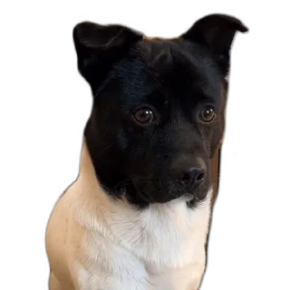 🥺
