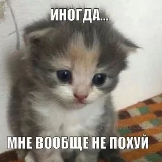 🫠