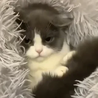 😒