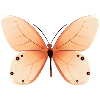 🦋