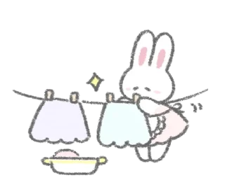 🐰