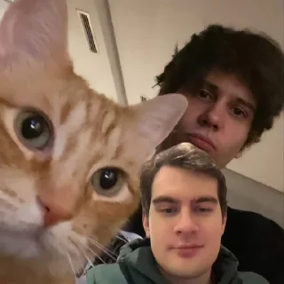 😎