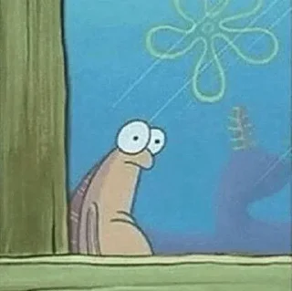 🧽