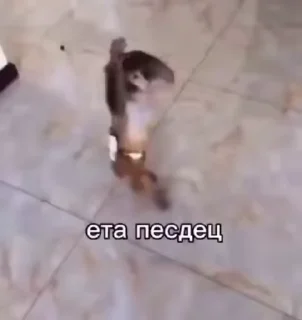 😱