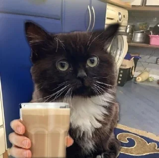 ☺️