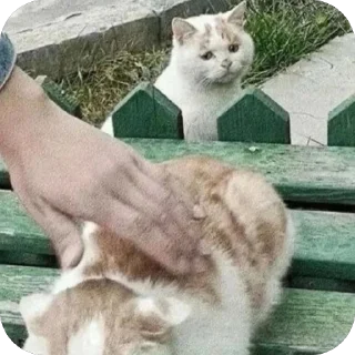 🫥