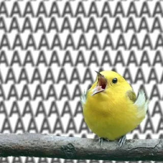😱