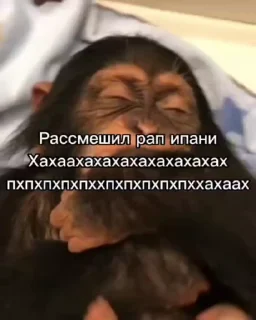 🙈