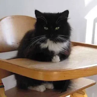 😑