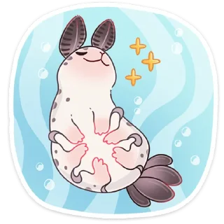 ✨