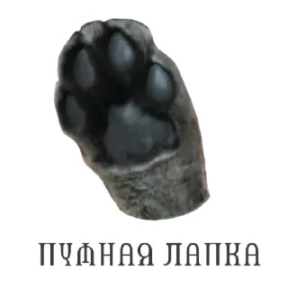 ✋