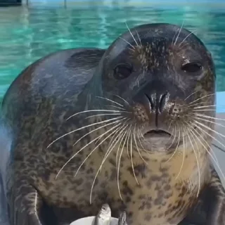 😐