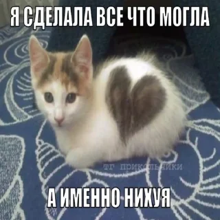 ♥