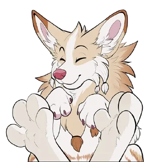 🐾