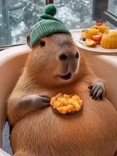 Capybara @stickersb2b